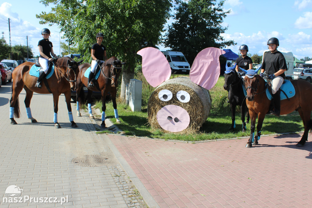 Dożynki w gminie Cedry Wielkie