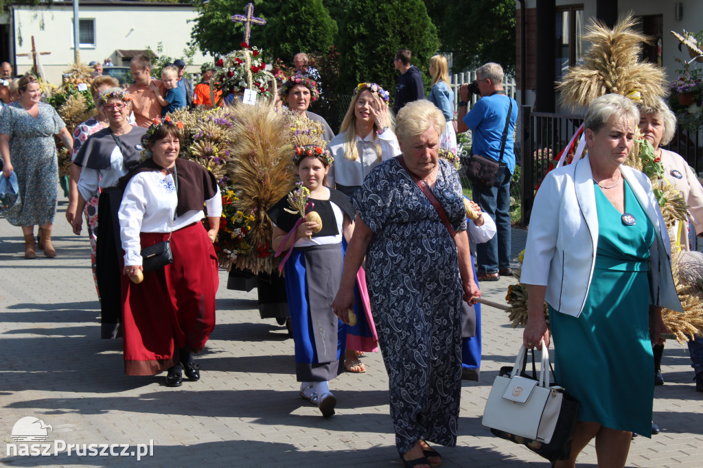 Dożynki w gminie Cedry Wielkie
