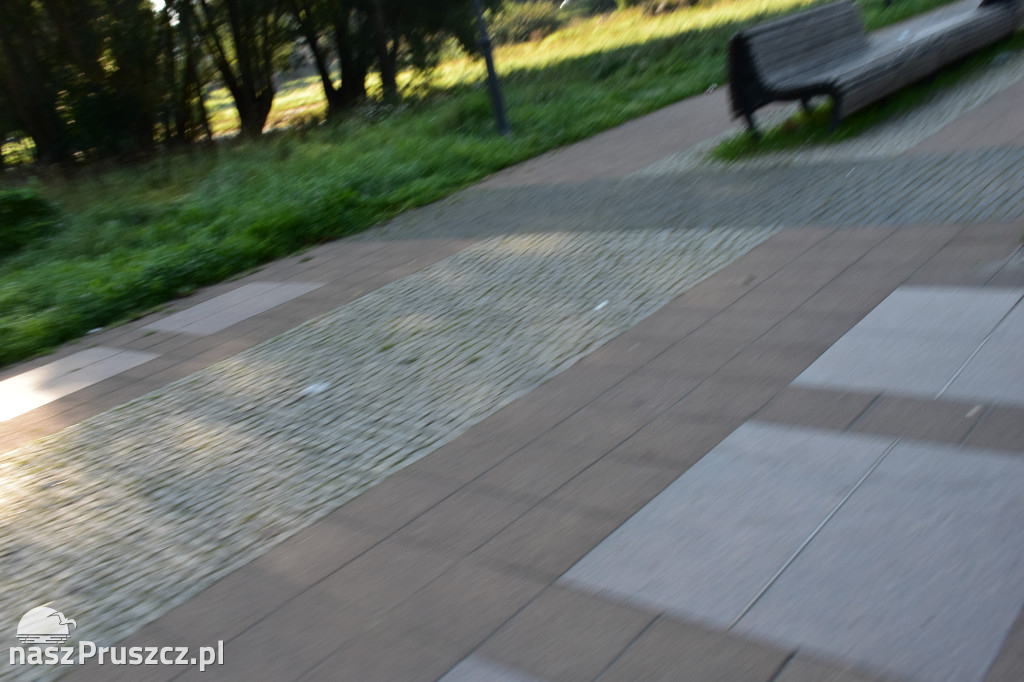 W Pruszczu Gdańskim pobiegli dla Oliwki