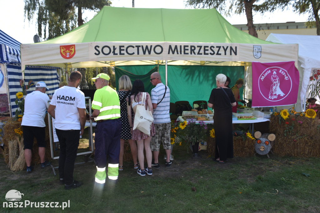 Dożynki w Trąbkach Wielkich