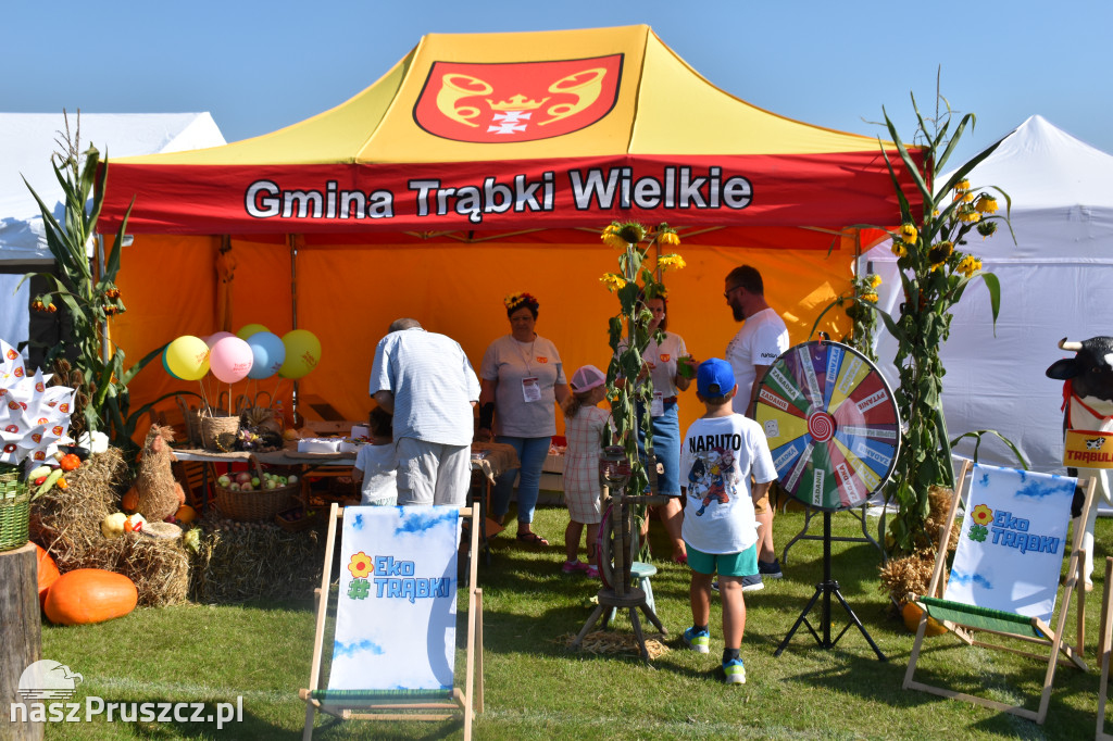 Dożynki w Trąbkach Wielkich