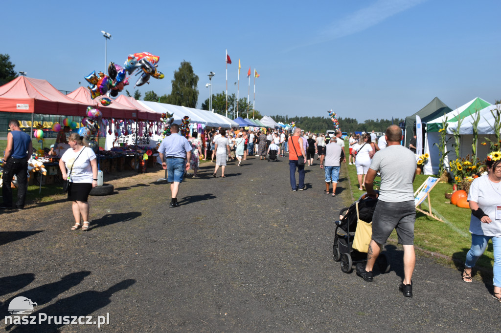 Dożynki w Trąbkach Wielkich