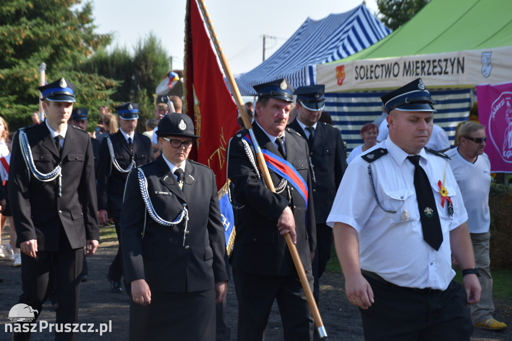 Dożynki w Trąbkach Wielkich