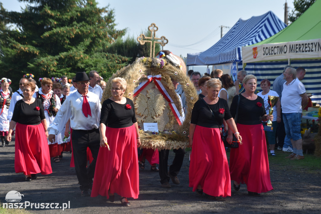 Dożynki w Trąbkach Wielkich