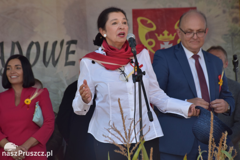 Dożynki w Trąbkach Wielkich