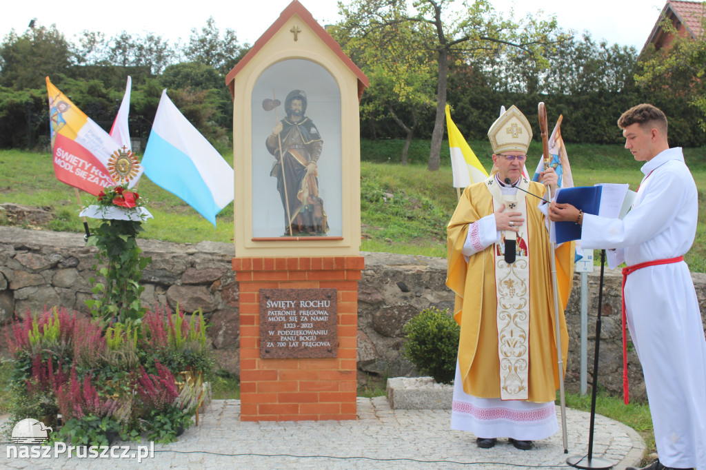 Centralne obchody 700-lecia Pręgowa.