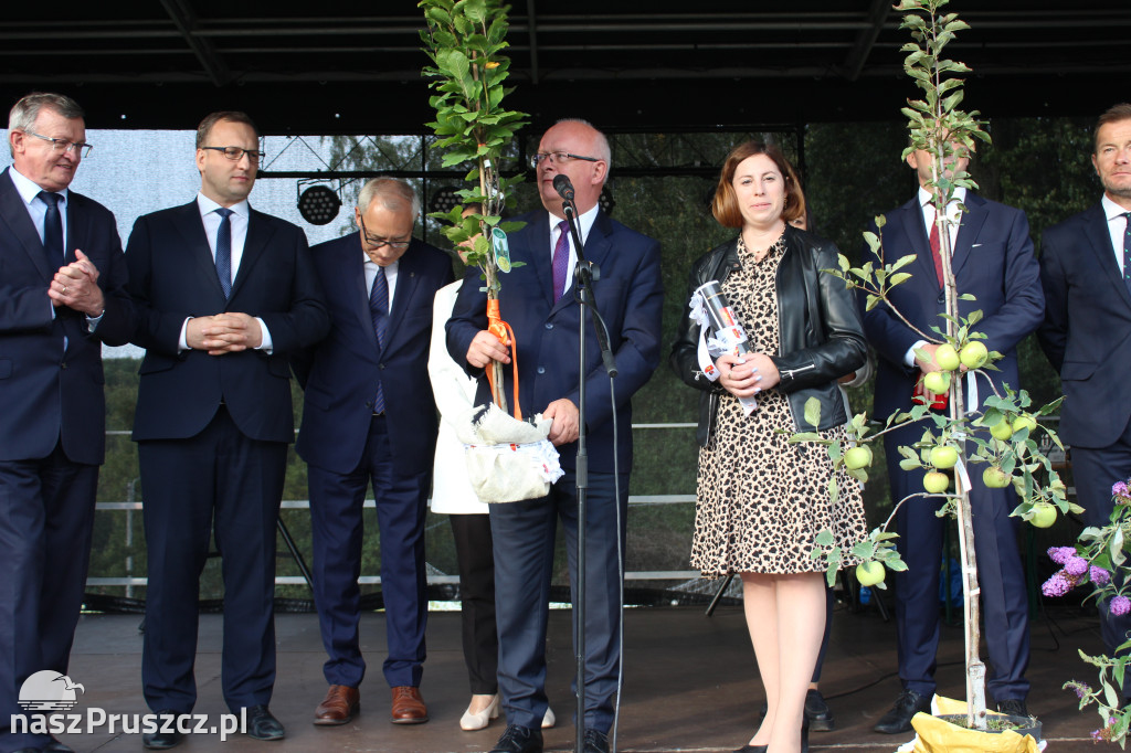 Centralne obchody 700-lecia Pręgowa.