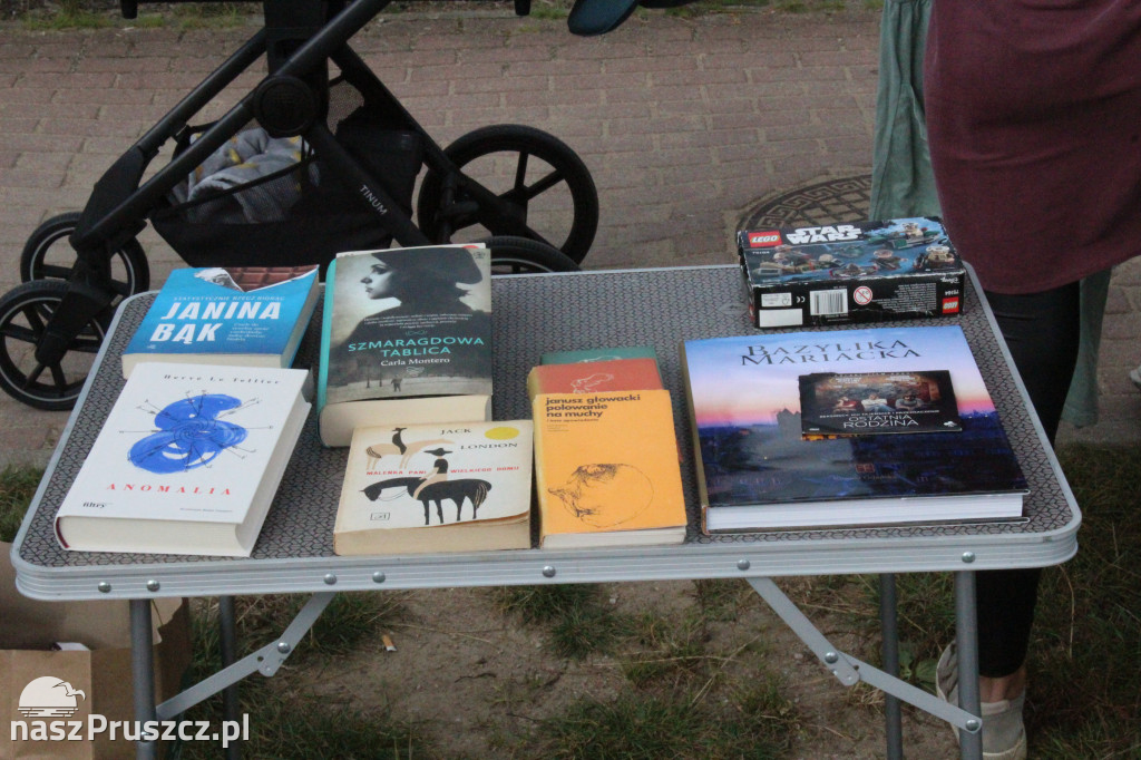 Piknik dla Gai Butkiewicz w Borkowie