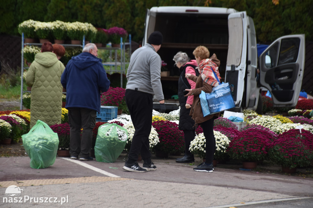 Dzień Wszystkich Świętych w Pruszczu Gdańskim