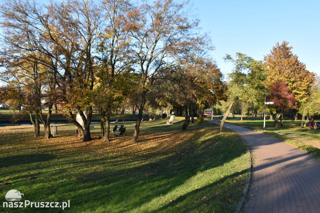 Jesienny Pruszcz Gdański