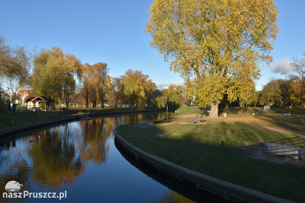 Jesienny Pruszcz Gdański