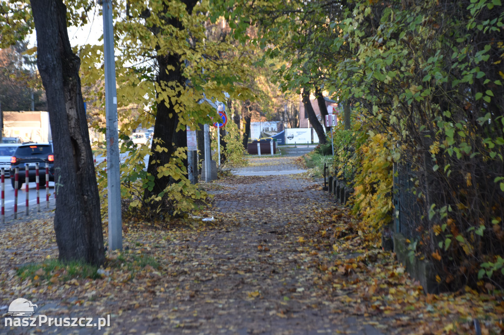 Jesienny Pruszcz Gdański