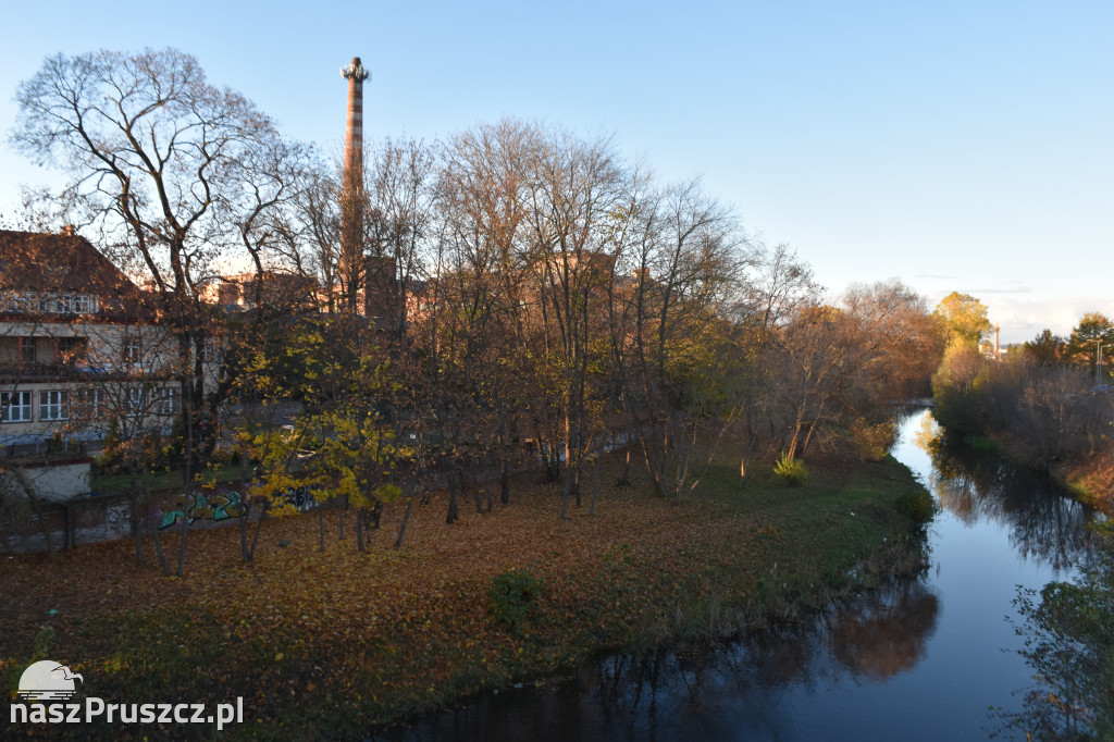 Jesienny Pruszcz Gdański