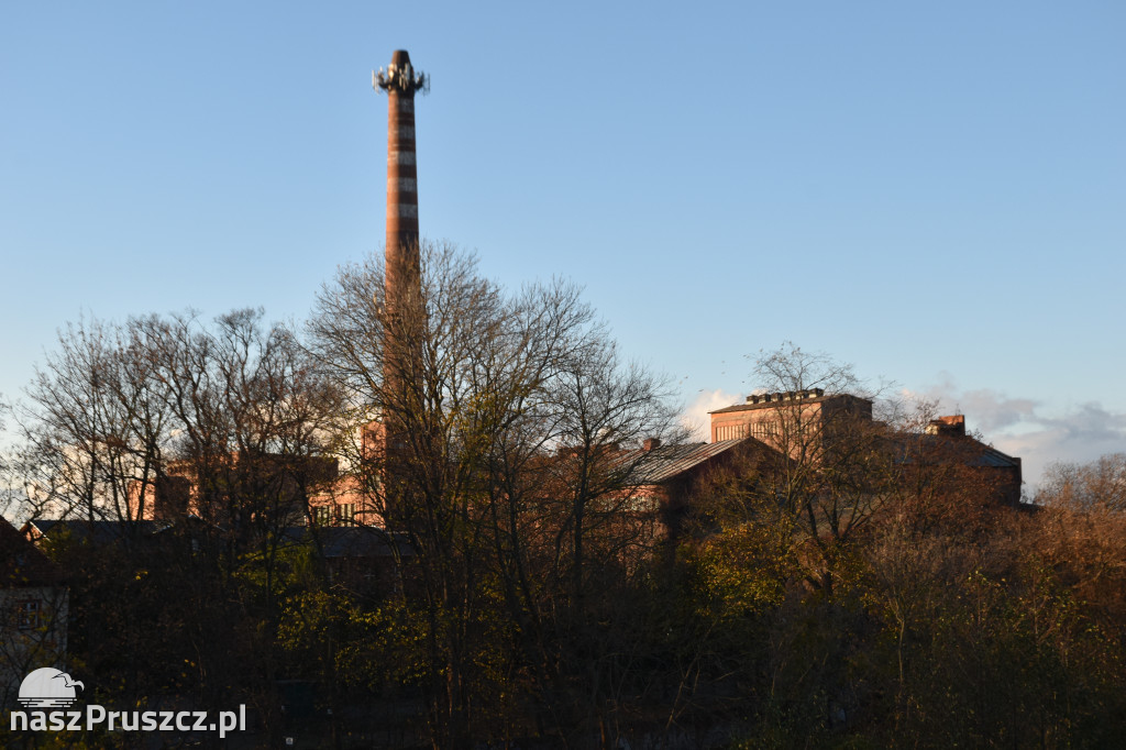 Jesienny Pruszcz Gdański