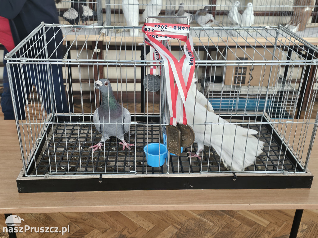 Powiat Gdański i Miasto Pruszcz Gdański gra z WOŚP