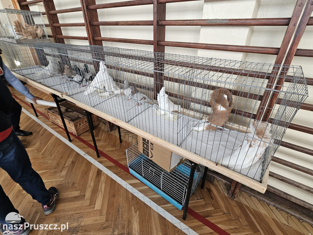 Powiat Gdański i Miasto Pruszcz Gdański gra z WOŚP