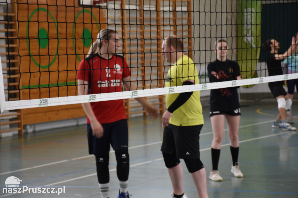 Turniej siatkówki w Łęgowie