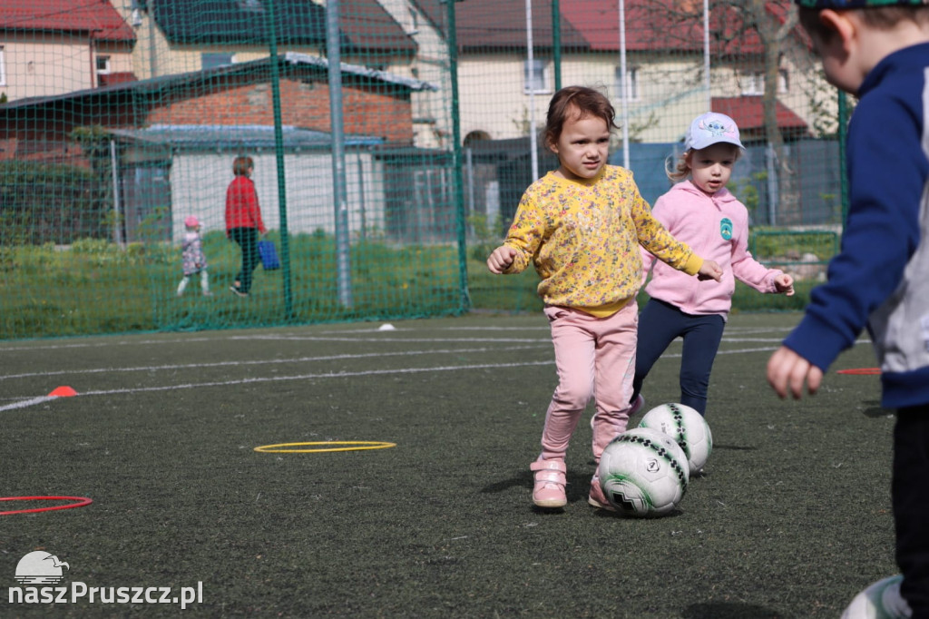 Zajęcia sportowe w 