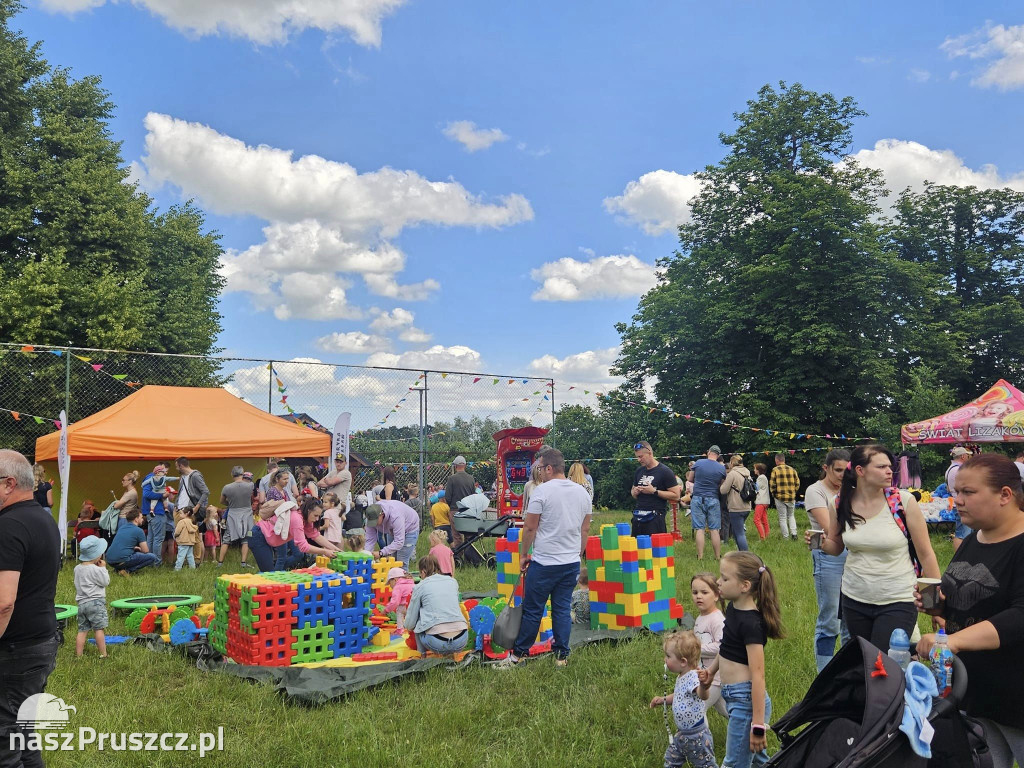 Dzień Dziecka w sołectwie Ulkowy