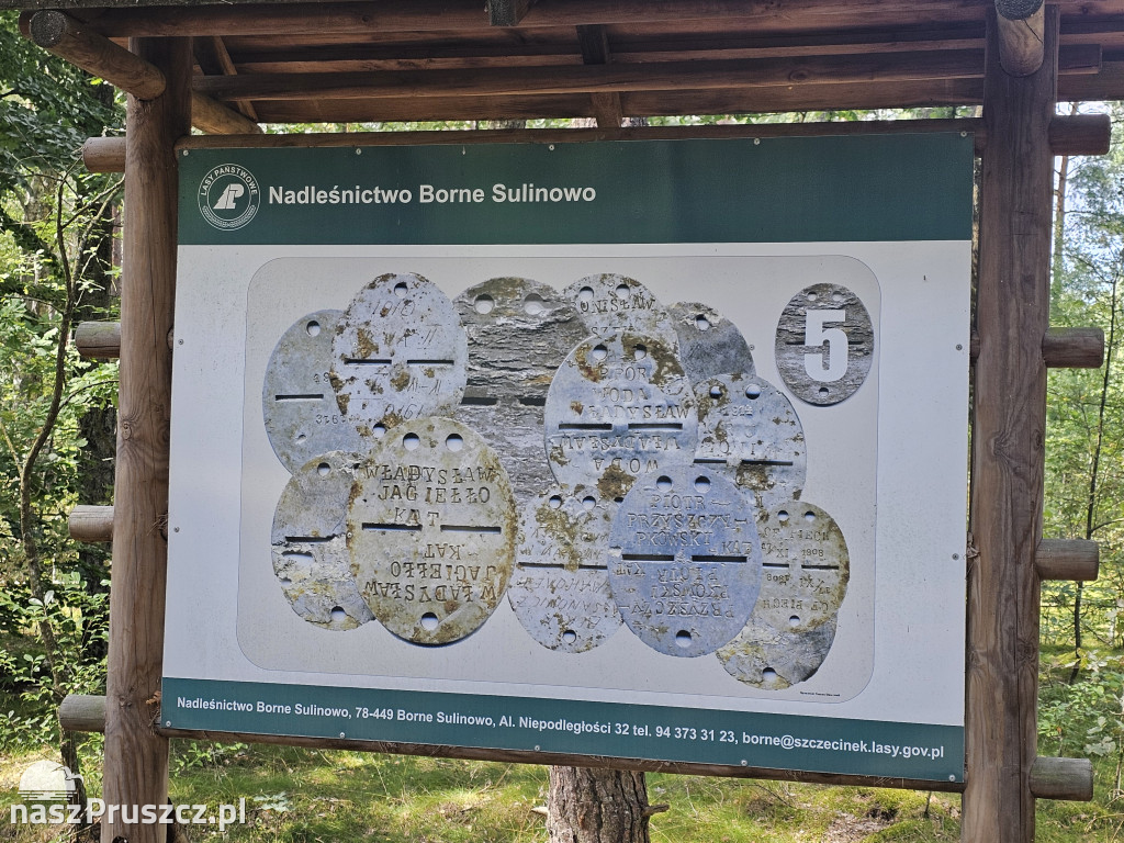 Borne Sulinowo, Kłomino