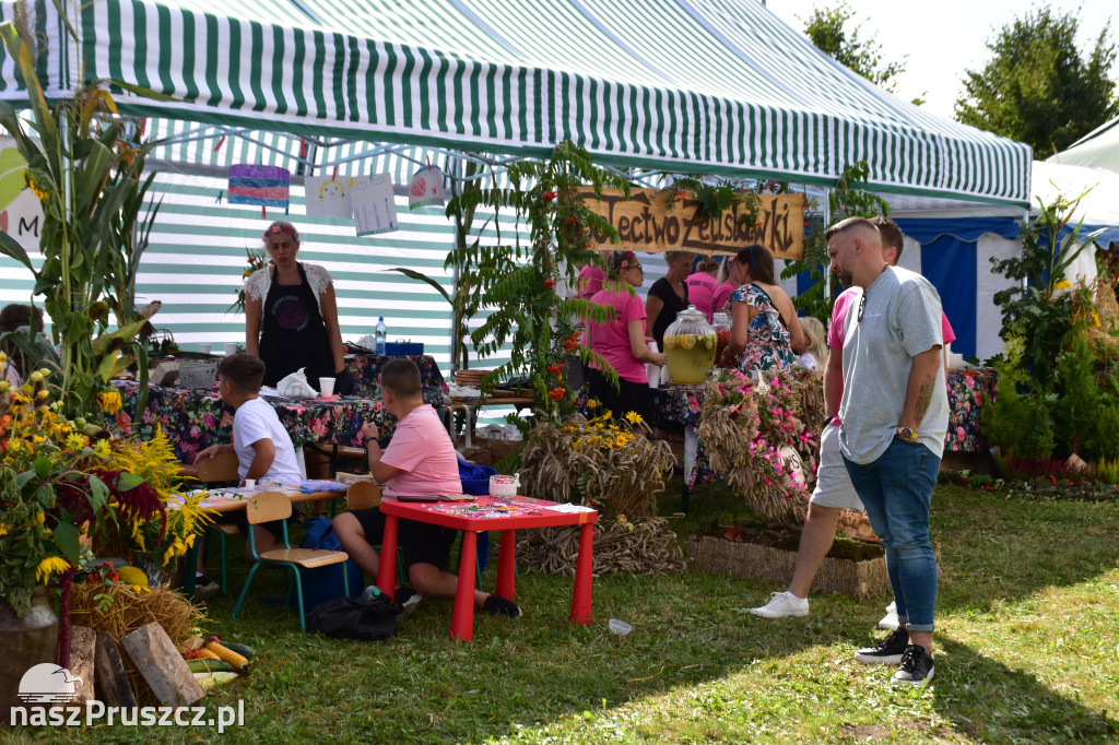 Dożynki w gminie Pszczółki