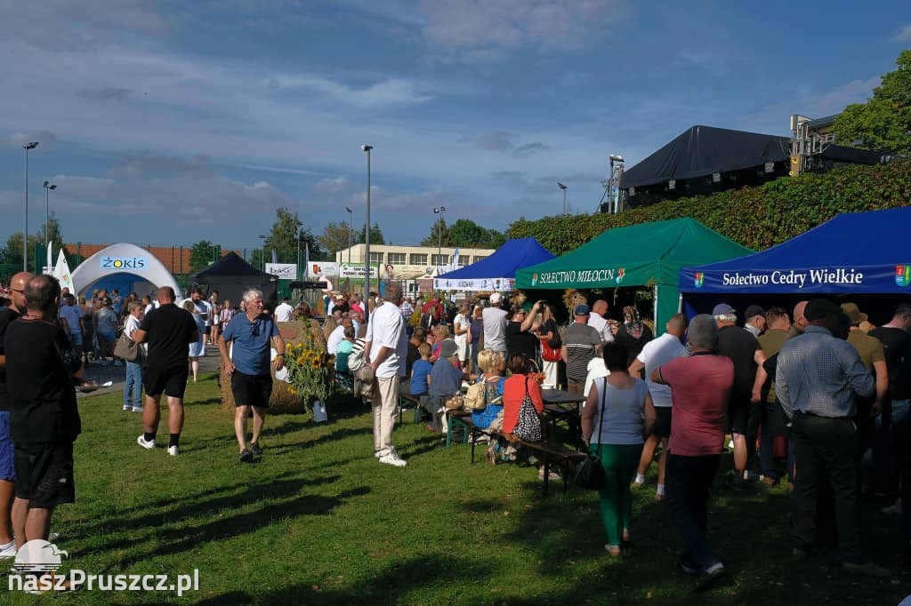 Dożynki w gminie Cedry Wielkie - 2024