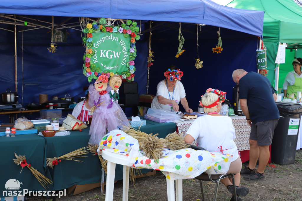 Żuławskie Dożynki Gminy Pruszcz Gdański