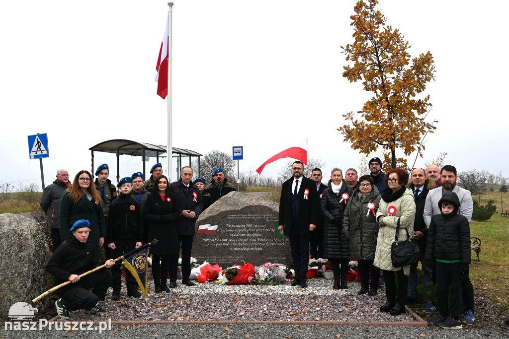 Święto Niepodległości w gminie Pszczółki