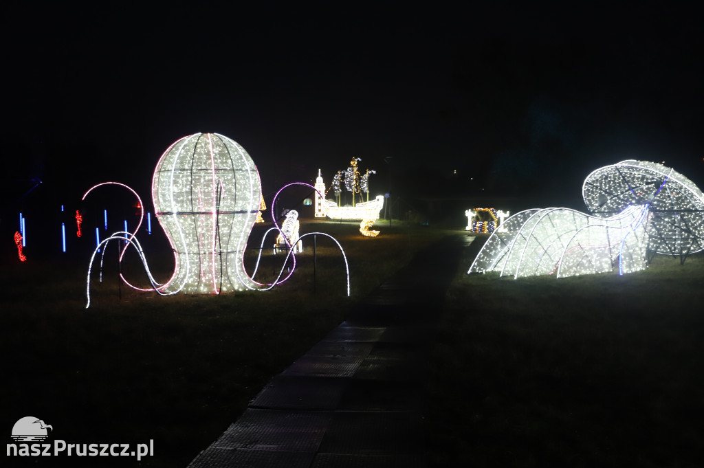 Lumina Park Pruszcz Gdański