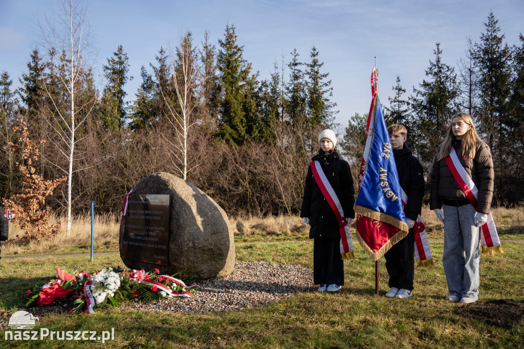 Marsz Śmierci - gmina Pruszcz Gdański