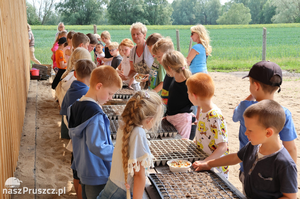 Edukacyjne wycieczki do Mokrego Dworu
