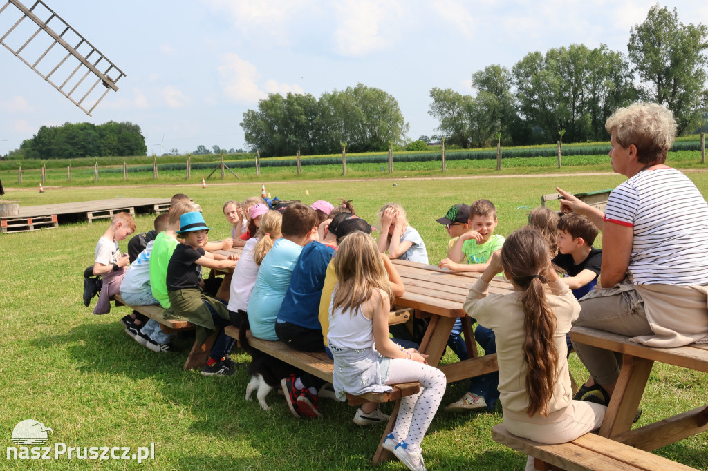 Edukacyjne wycieczki do Mokrego Dworu
