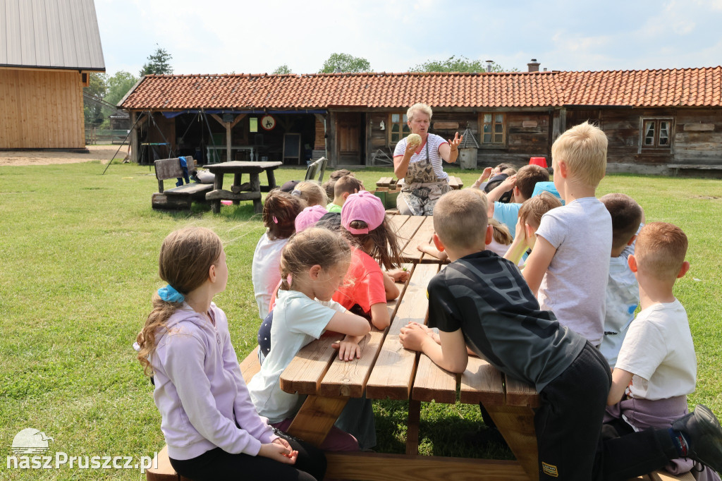 Edukacyjne wycieczki do Mokrego Dworu