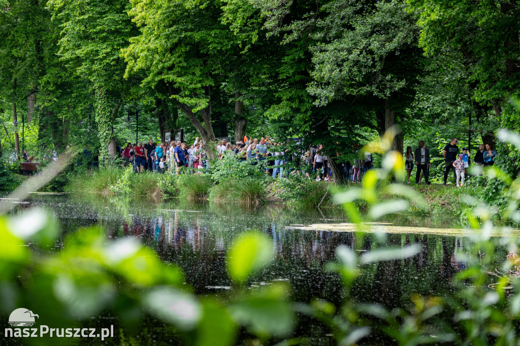 „Widziane pod wodą, czyli fauna i flora jezior, rzek, mórz i oceanów”