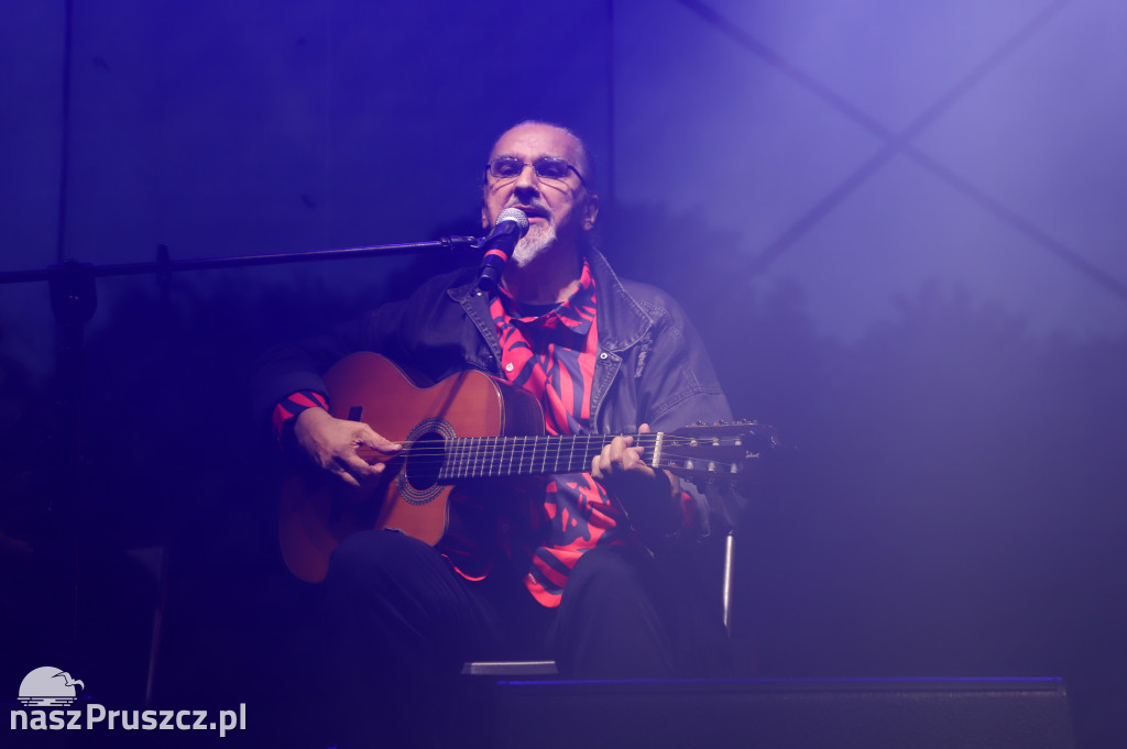 Dom o Zielonych Progach, Czerwona tulipan