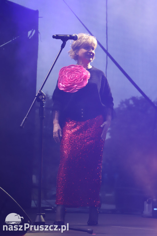 Dom o Zielonych Progach, Czerwona tulipan