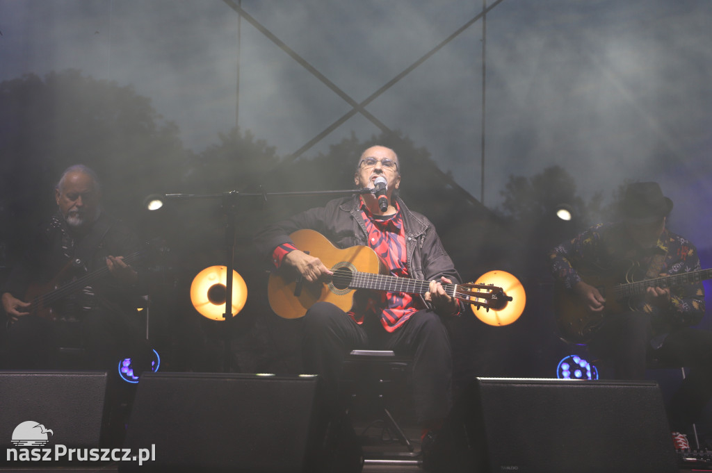 Dom o Zielonych Progach, Czerwona tulipan
