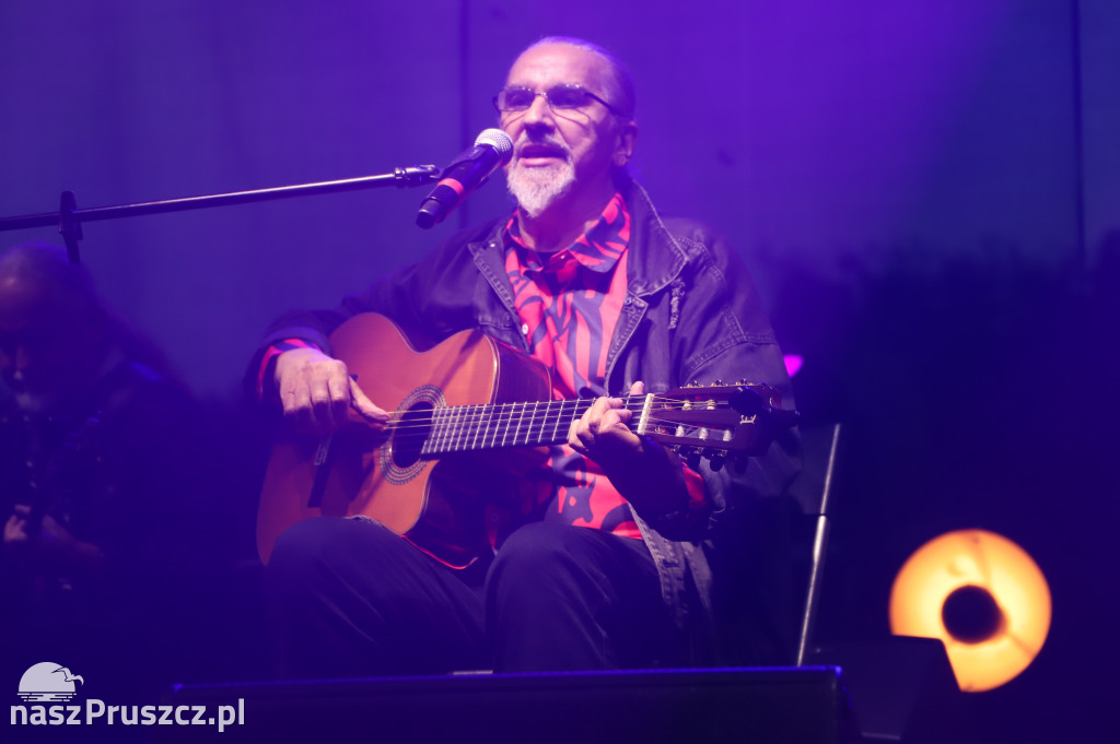 Dom o Zielonych Progach, Czerwona tulipan