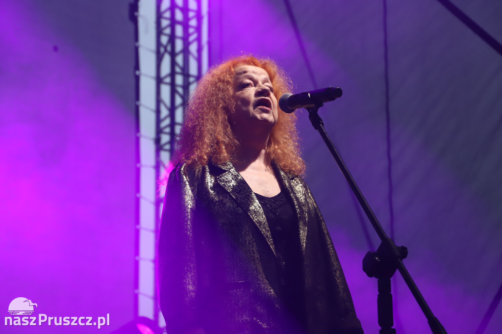Dom o Zielonych Progach, Czerwona tulipan