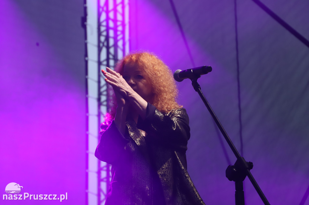 Dom o Zielonych Progach, Czerwona tulipan