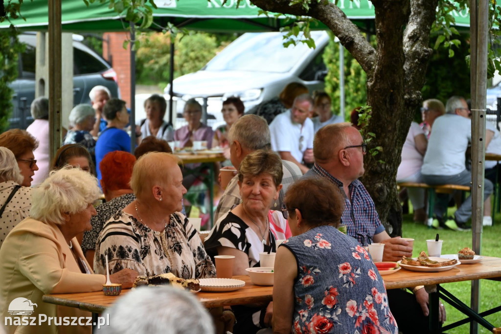 Wielki Dzień Pszczół – Kolnik 2025