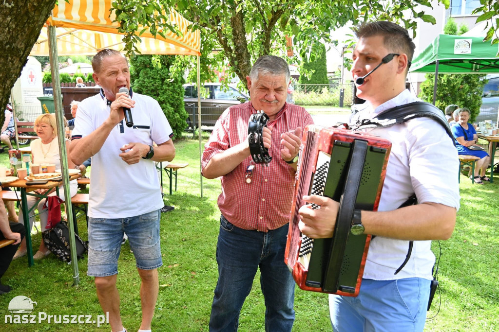Wielki Dzień Pszczół – Kolnik 2025