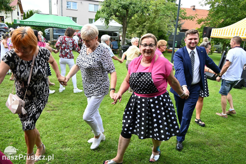 Wielki Dzień Pszczół – Kolnik 2025