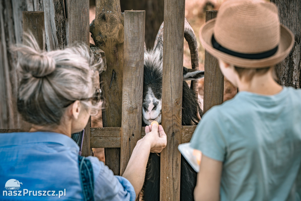 „Weekend ze zwierzętami” - Faktoria Pruszcz Gdański