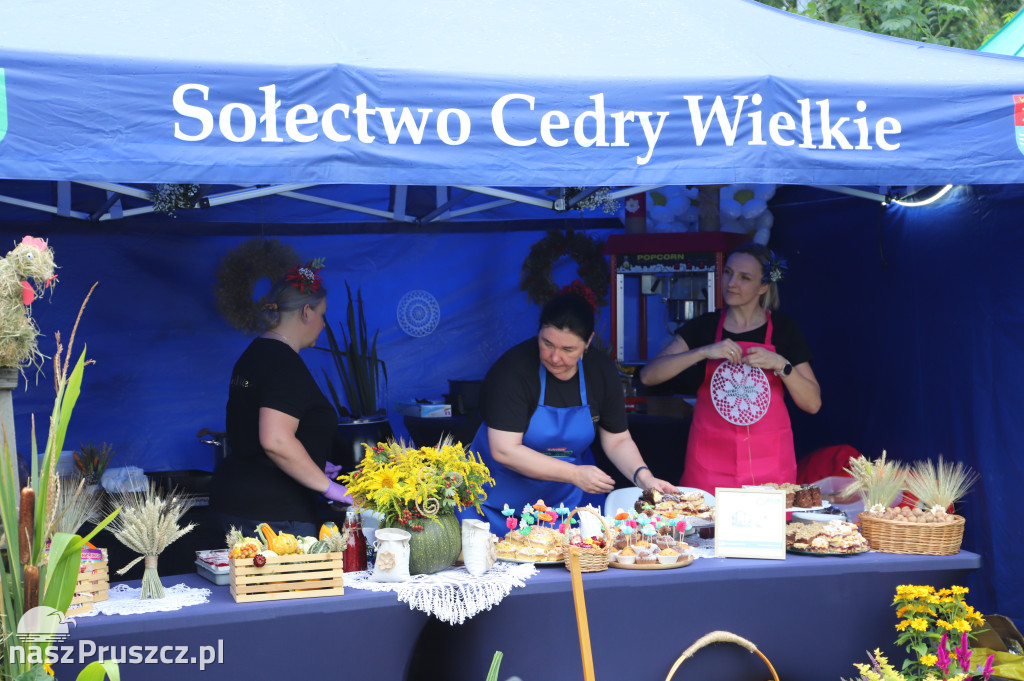 Dożynki w Cedrach Wielkich - 2025