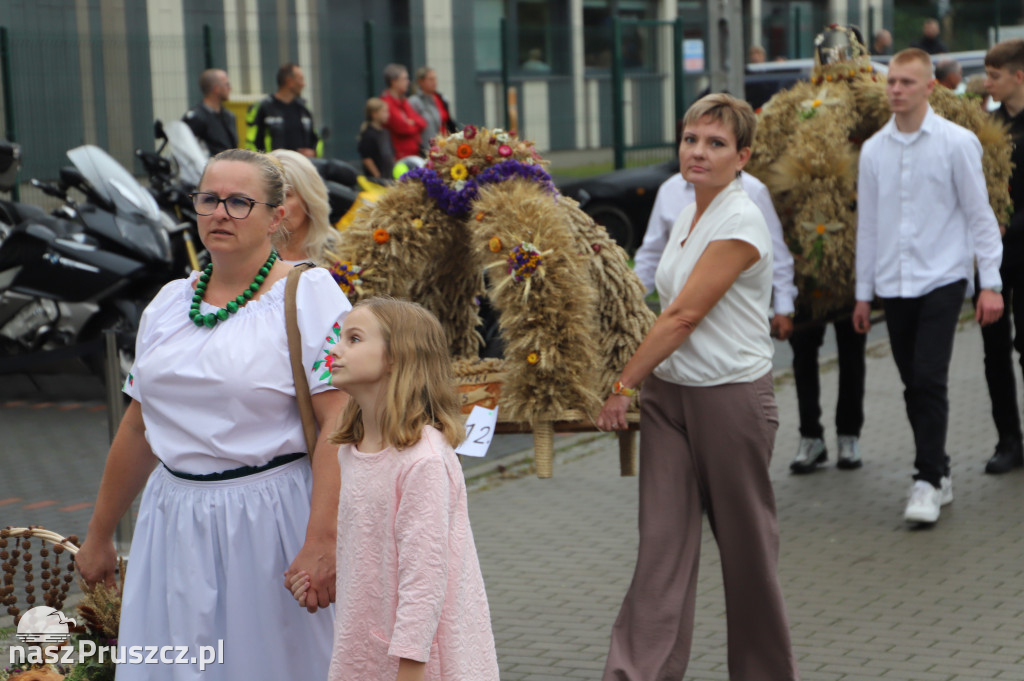 Dożynki w Cedrach Wielkich - 2025
