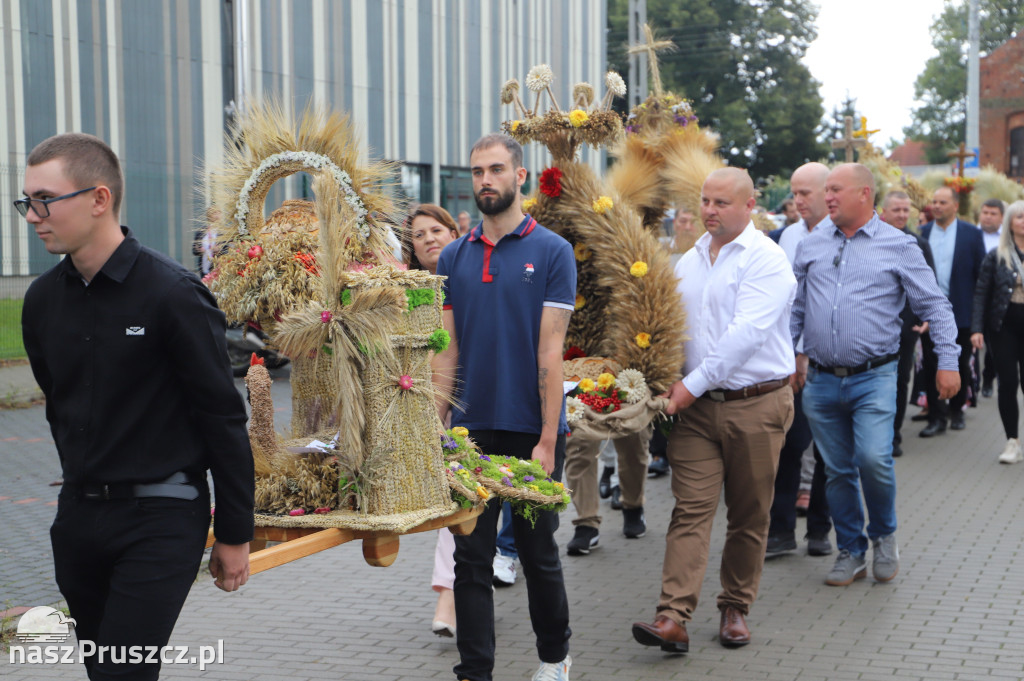 Dożynki w Cedrach Wielkich - 2025