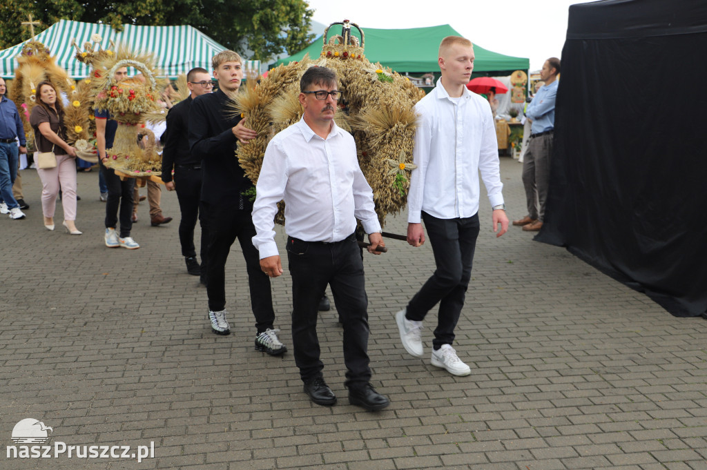 Dożynki w Cedrach Wielkich - 2025