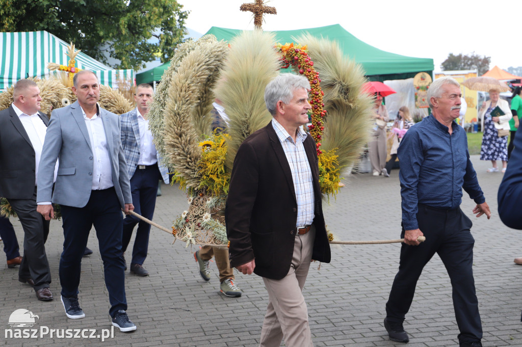 Dożynki w Cedrach Wielkich - 2025