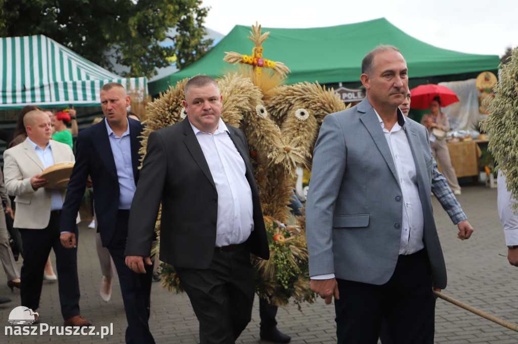 Dożynki w Cedrach Wielkich - 2025
